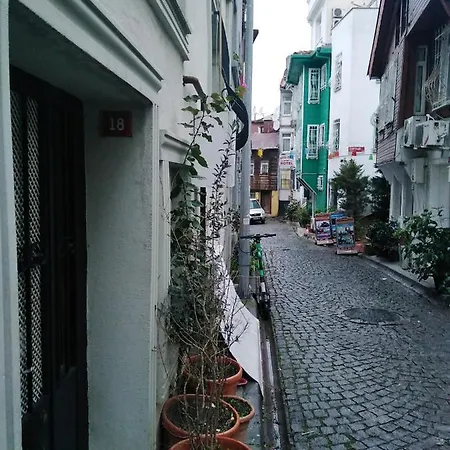 Daire-fatih Ayasofya Ve Sultanahmet Meydanina Cok Yakin Istanbul